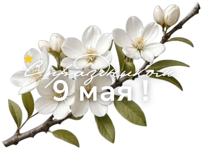 9-may