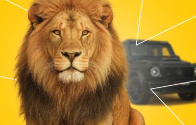 Лизинг или кредит: что выбрать, если нужен автомобиль или оборудование